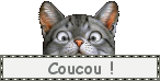 Gif animé coucou chat